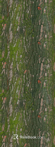 bark texture