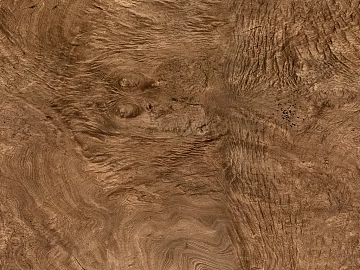 Wood grain 3d model