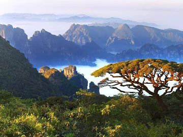 Wild Scenery texture (ID:ffajg09936)