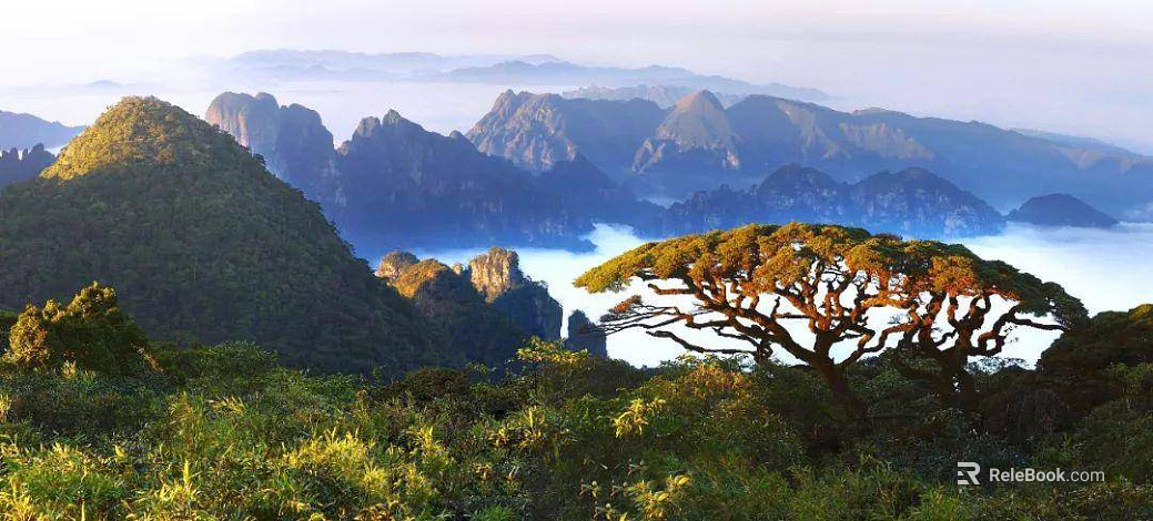 Wild Scenery texture