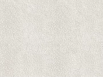 Plain pattern carpet texture (ID:ffacg84011)