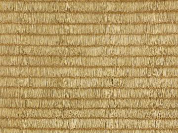 Thatch texture (ID:ffajg76356)