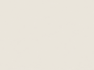 fine grain leather texture (ID:ffaag05720)