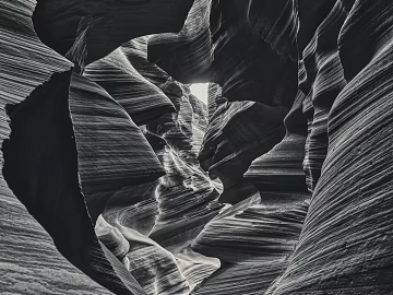 black and white painting texture (ID:ffagg42300)