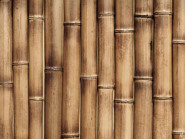 Bamboo texture (ID:ffach542790)