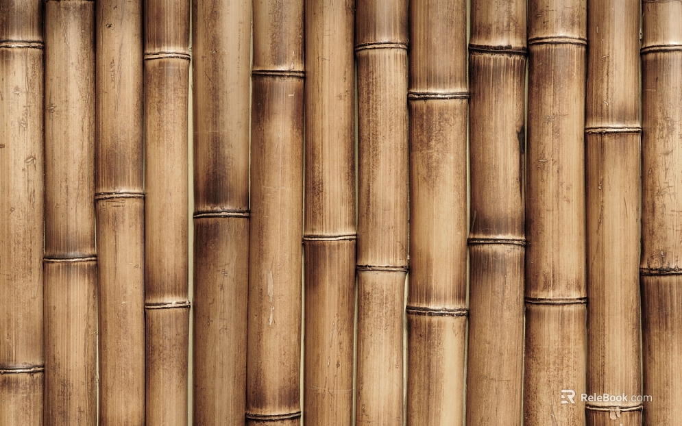 Bamboo texture