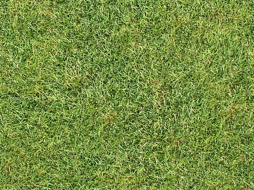 Turf ground texture (ID:ffaaf1082)