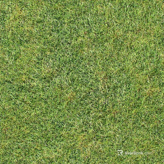 Turf ground texture
