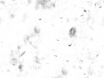 Fingerprint texture (ID:ffaag16791)