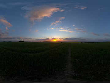 outdoor field plain texture (ID:ffach197558)