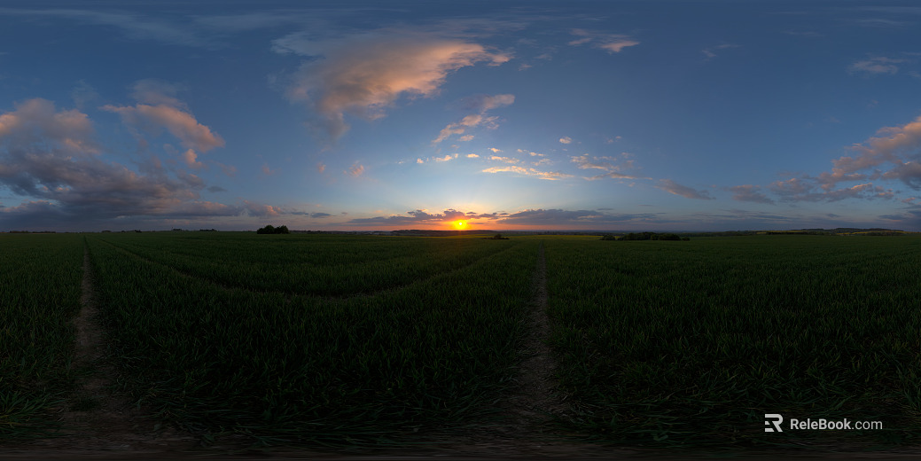 outdoor field plain texture