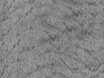 Grey texture cement wall (ID:ffaeh331571)