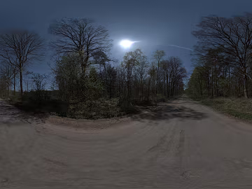 Sky Environment Forest Road Street Sunny HDR texture (ID:ffach664308)