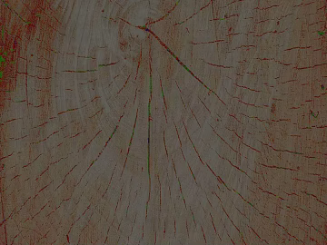 annual rings texture (ID:ffadg41456)