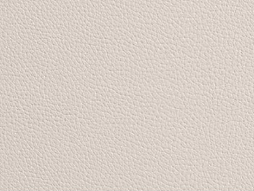 Coarse-grain leather texture (ID:ffach723914)