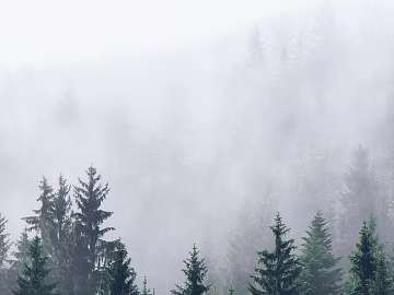 Wild Scenery texture (ID:ffaef8559)