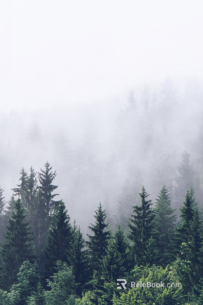 Wild Scenery texture