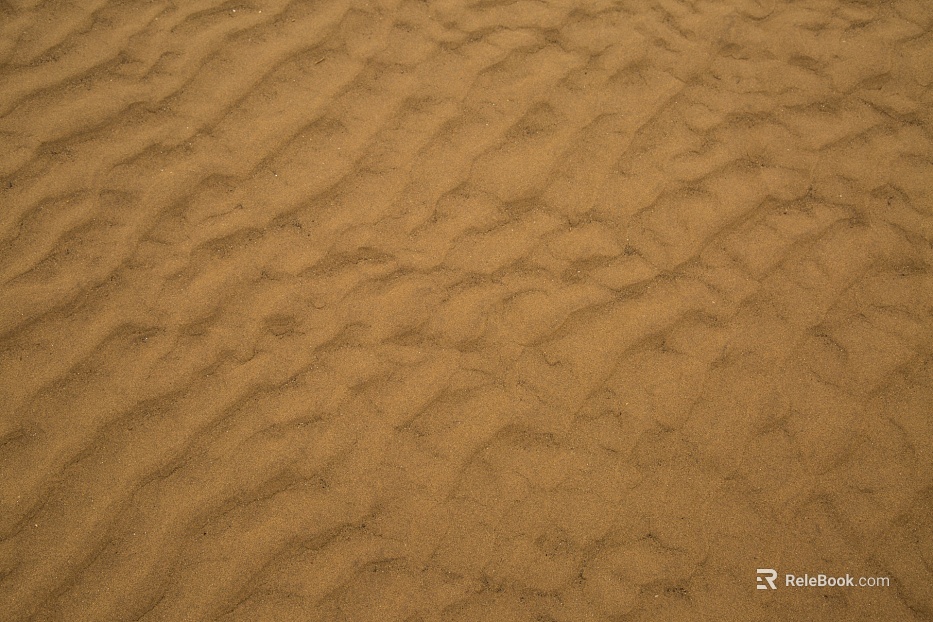 Sand texture