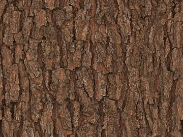 bark texture (ID:ffach557956)
