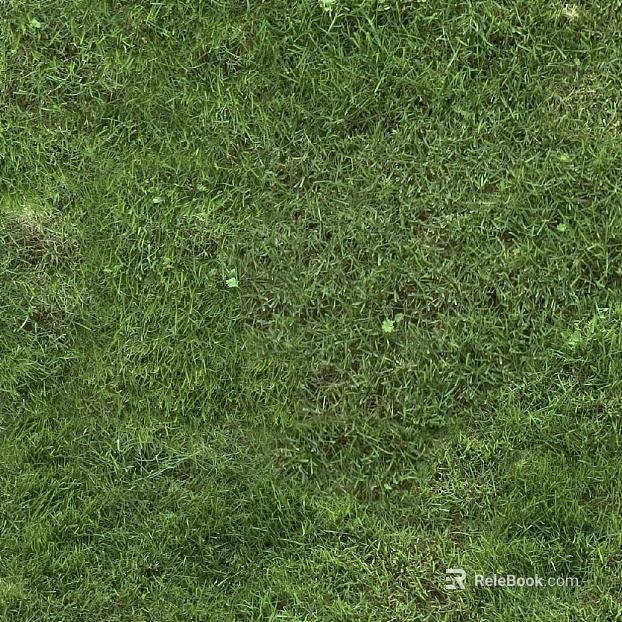 Green grass turf outdoor flooring texture