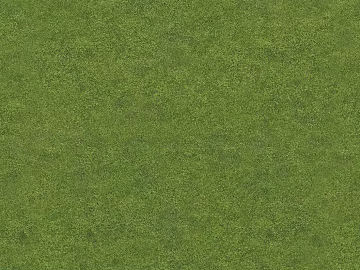 Turf texture (ID:ffaef6249)