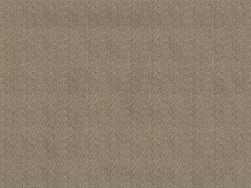bark 3d model