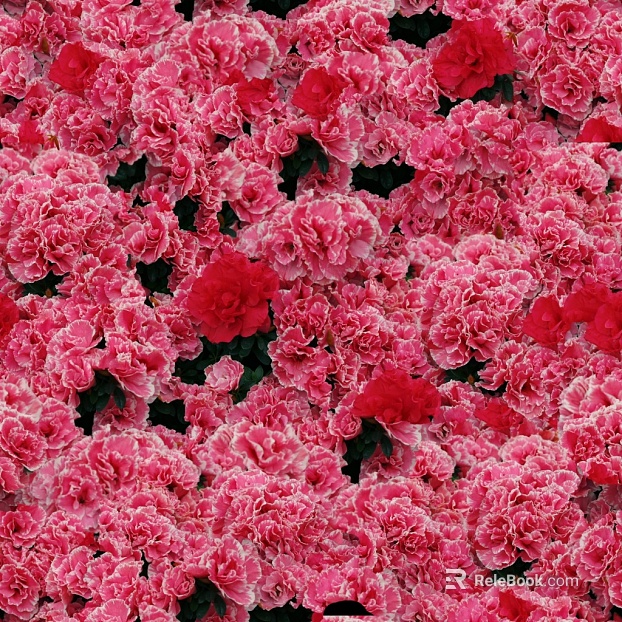 Flowers texture