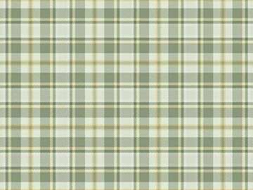 Plaid texture (ID:ffaag46601)