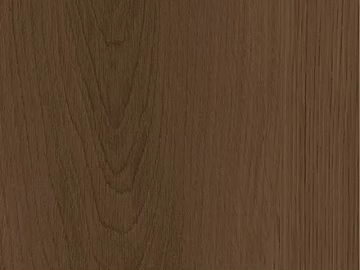 Walnut 3d model