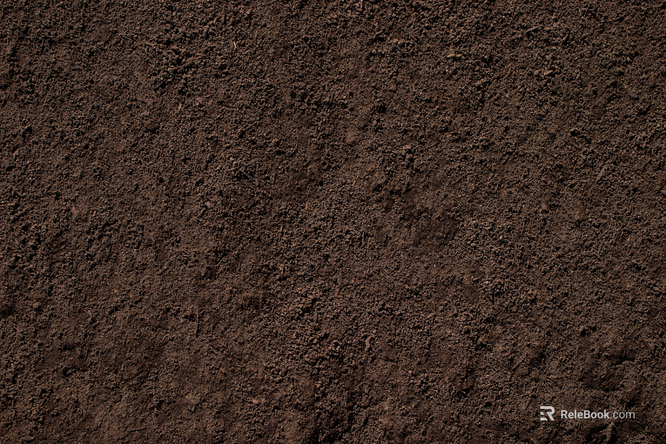 Sand texture