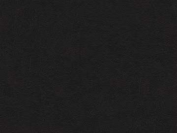 fine grain leather 3d model