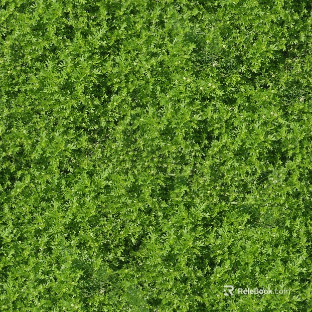 Turf ground texture