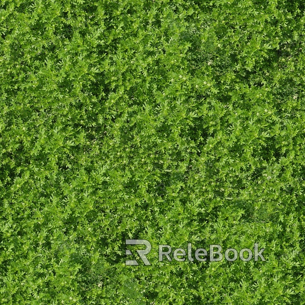 The image depicts a well-manicured turf ground, vibrant green in color, evenly trimmed, presenting an ideal surface for sports activities under the clear blue sky.