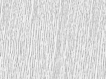 Black and White Bump texture (ID:ffagg42521)