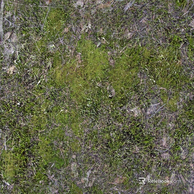 moss texture