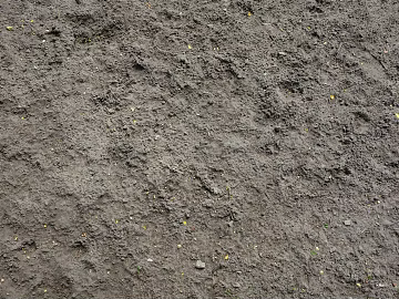 Mud texture (ID:ffaeg85623)