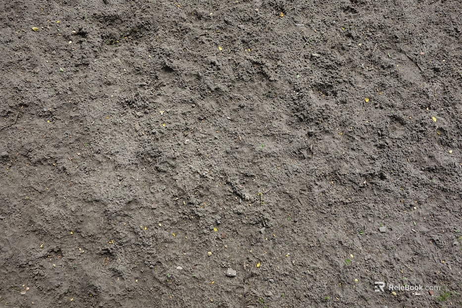 Mud texture