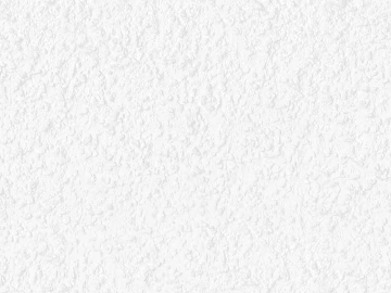 White texture paint interior wall paint (ID:ffaeh486744)