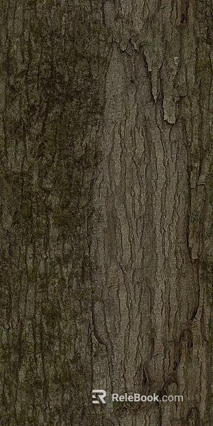 bark texture