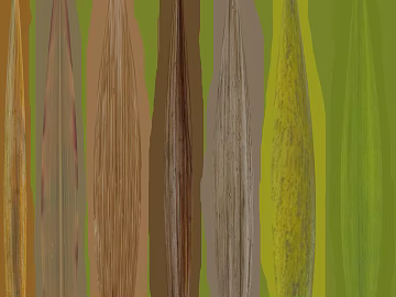 Vegetable Color Plant Vein Wallpaper texture (ID:ffaeh599176)