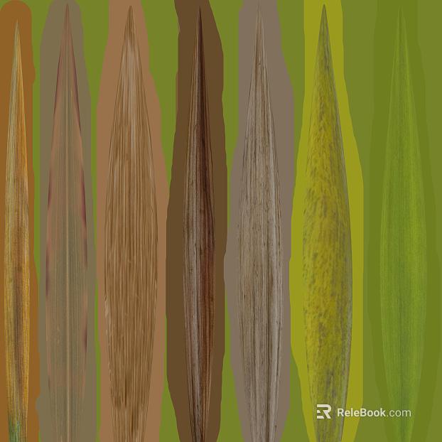 Vegetable Color Plant Vein Wallpaper texture