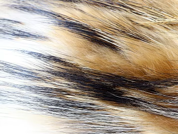 animal fur texture (ID:ffaag80617)