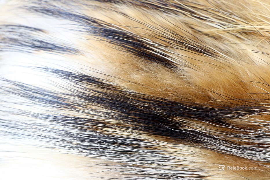 animal fur texture