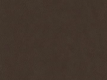 fine grain leather texture (ID:ffajg00900)