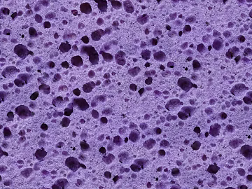 foam sponge texture (ID:ffaeh947347)
