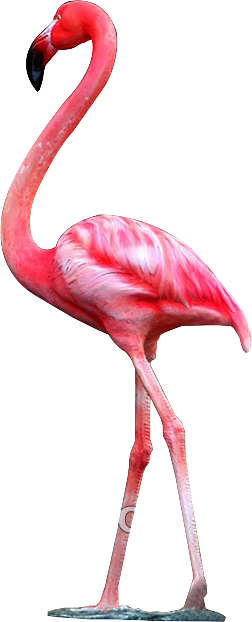 Animal painting texture