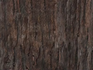 bark texture (ID:ffadf9728)