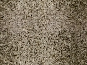 ancient tree bark texture (ID:ffhee505)