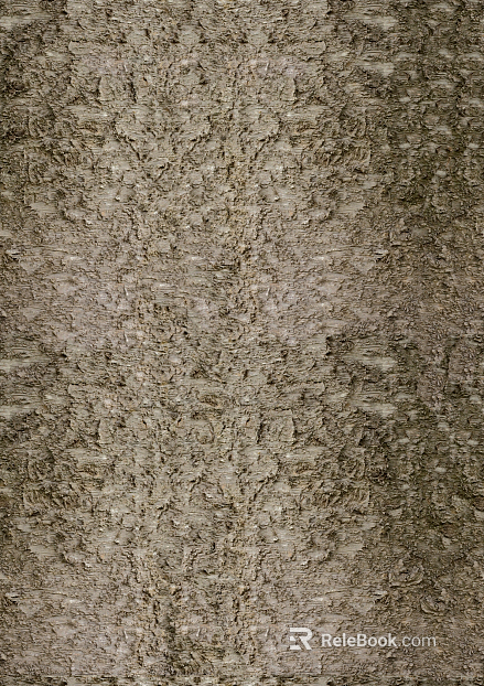 ancient tree bark texture