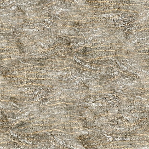 ancient tree bark texture